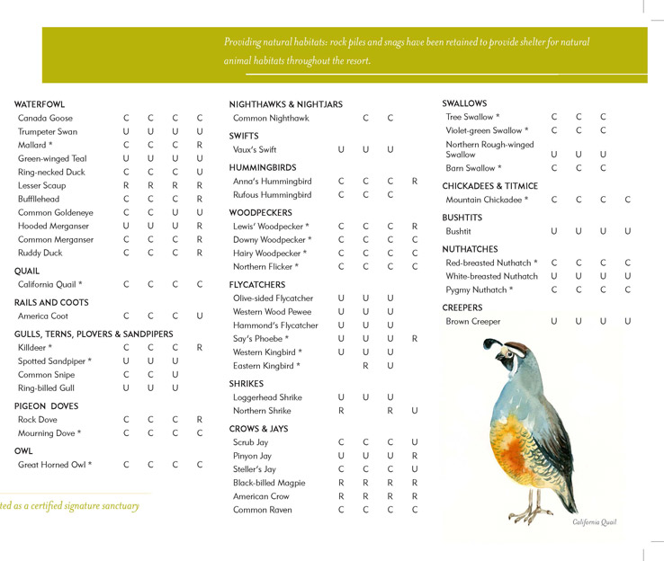 Tetherow Bird Brochure