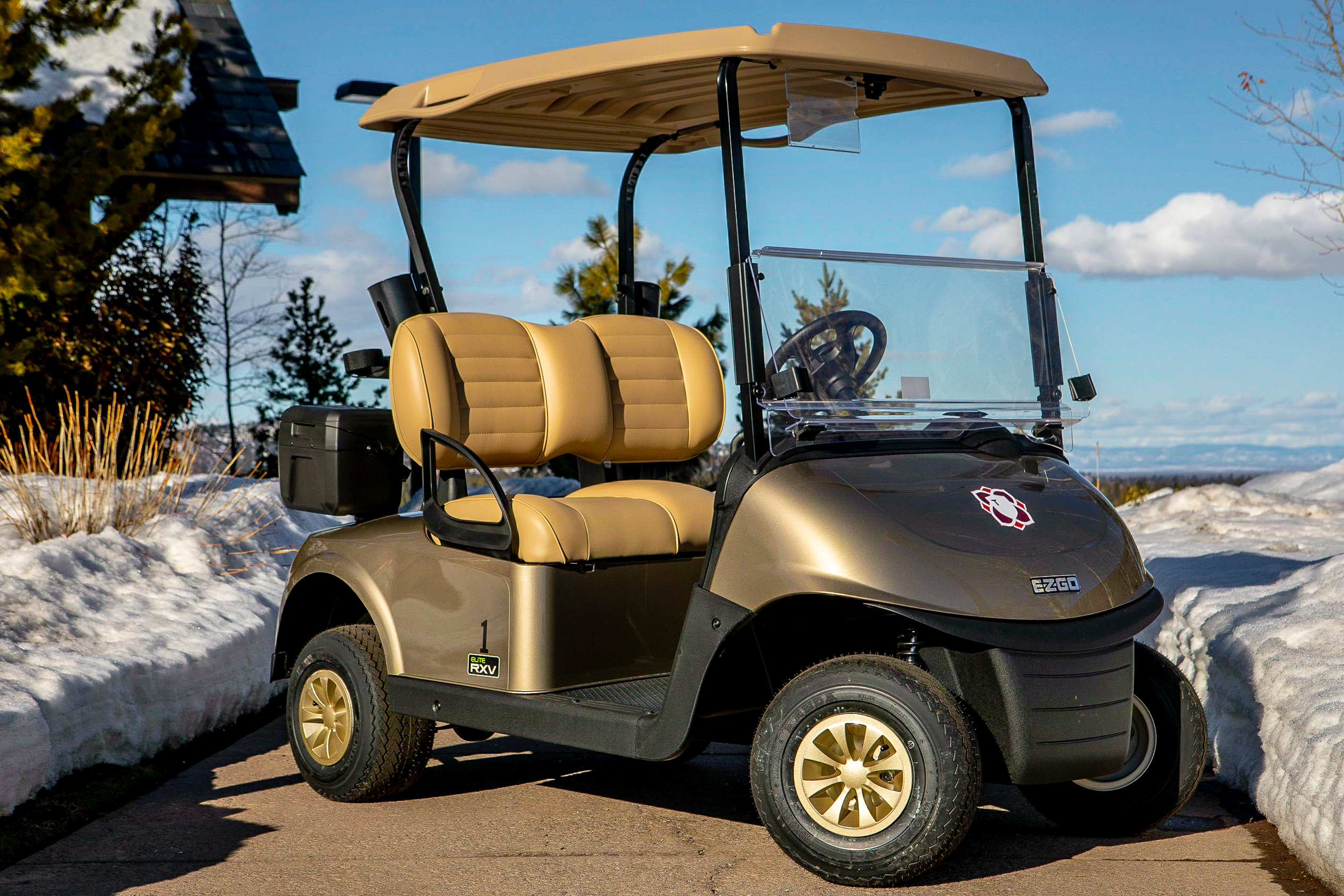 New E-Z Go Golf Cart