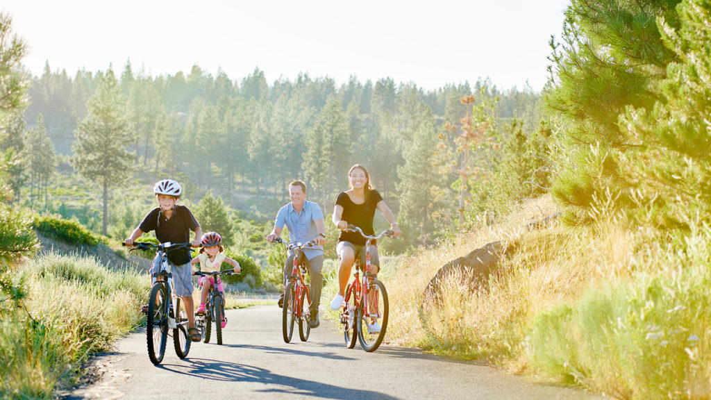 family bike