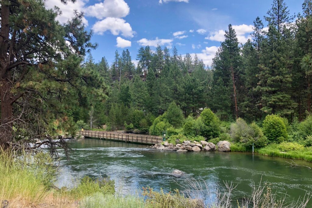 Deschutes River Trail hiking scence