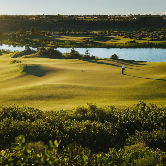 Masters weekend is here! Time to make your predictions. Who’s taking home the Green Jacket this year? Drop your picks below and let’s see who’s got the winning guess! 

🏷️Tetherow | Bend, OR
#golf | #masters | #themastersgolftournament