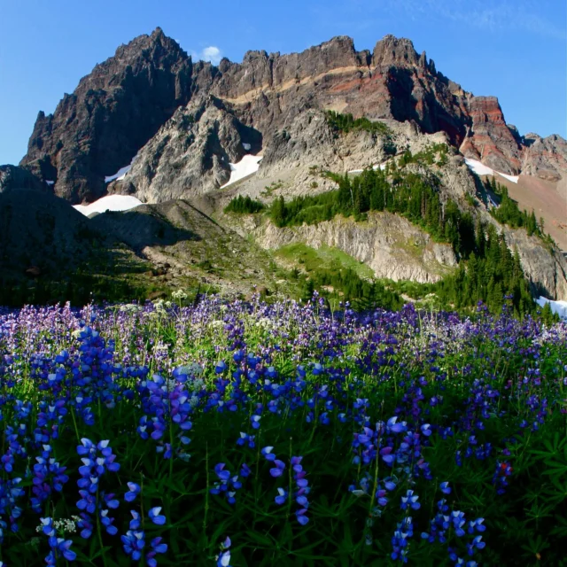 This Earth Day, we’re honoring the beauty of the great outdoors. Join us as we appreciate the stunning landscapes, lush greens, and pristine nature that make Bend so special. We are committed to protect and preserve the planet we love.

🏷️Tetherow | Bend, OR
#EarthDay #TetherowCares #GreenGolf #SustainableLiving #NatureLovers #protectourplanet