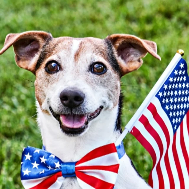 Looking ahead to July 4th at Tetherow? It’s one of our most popular weekends of the year—and a great time to enjoy sunshine, outdoor adventure, and summer festivities including the iconic Bend Pet Parade.  Tetherow hosts an annual patriotic celebration that is capped off with the Pilot Butte Fireworks show.

🏷️Tetherow | Bend, OR
#Tetherow #BendOregon #July4thWeekend #SummerAtTetherow