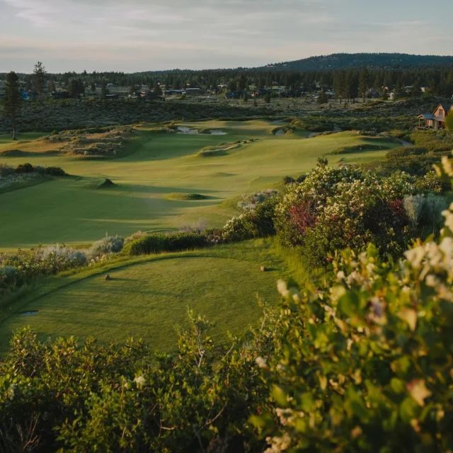 Unforgettable views, championship greens, and that perfect Bend breeze — this is golf at its finest. Ready to tee off? 

🏷️Tetherow | Bend, OR
#TetherowGolf #BendOregon #GolfLife #TeeTime #PNWGolf #stayandplay